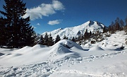 73 Panettoncini di neve